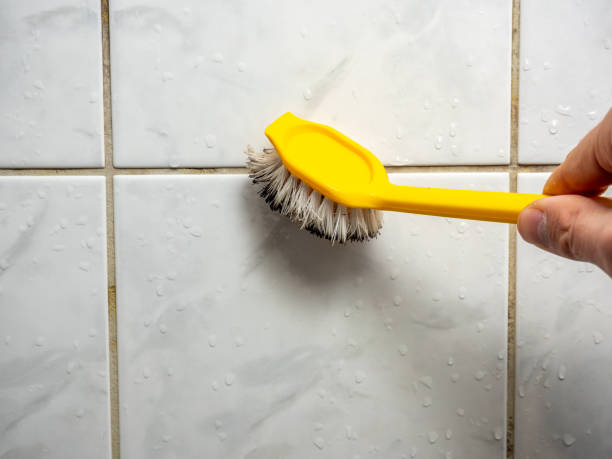 Best Mold Remediation  in Randolph Af, TX