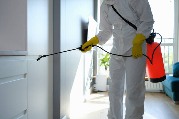 Water Damage Restoration in Randolph Af, TX