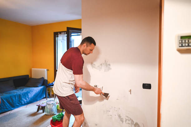 Best Same-Day Mold Removal  in Randolph Af, TX